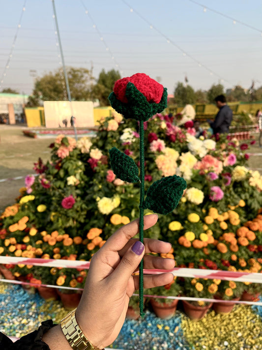 Crochet Rose Flower – A Beautiful Flower Gift for Your Loved One