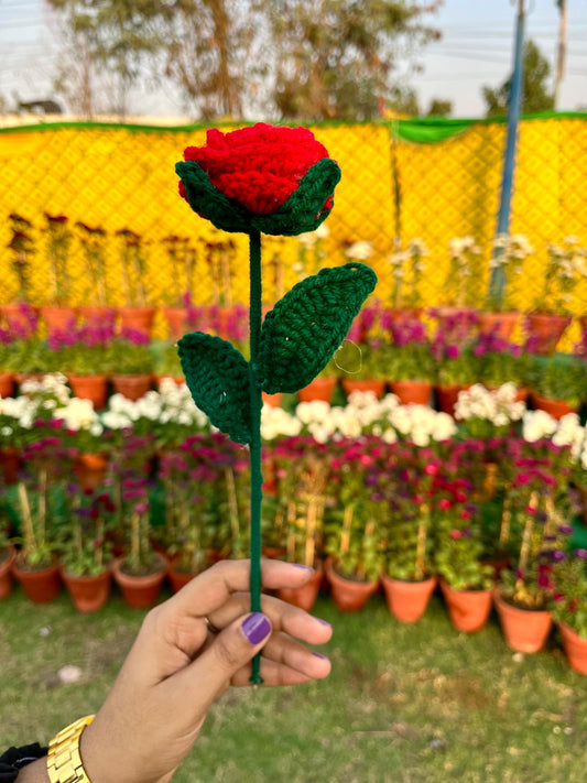 Crochet Rose Flower – A Beautiful Flower Gift for Your Loved One